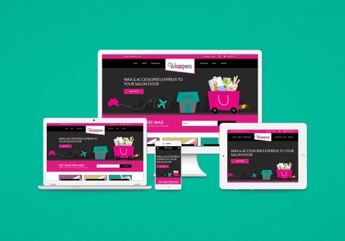 Wordpress/WooCommerce E-commerce Website