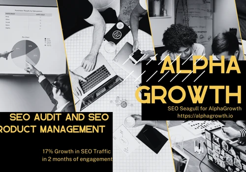 SEO Audit and Execution for AlphaGrowth