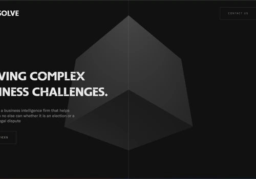 Business Intelligence Firm