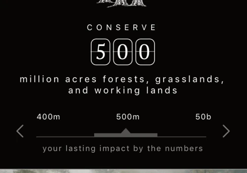 The Nature Conservancy - Our World Campaign