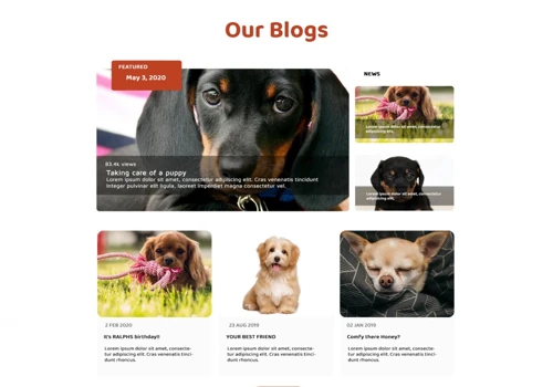 Pet care