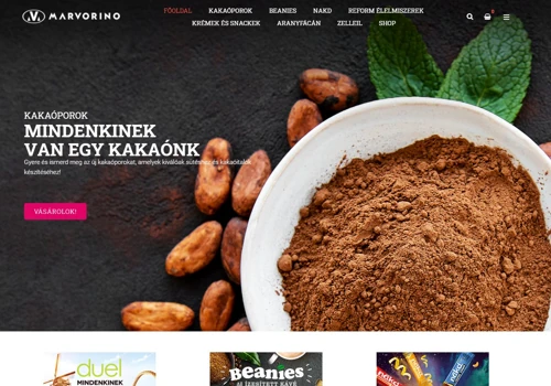 Webshop development