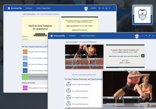 GrammarFlip Educational Software