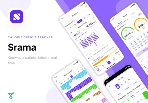 SYNAPSE FINANCIAL TECHNOLOGIES