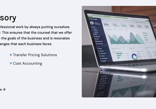 Financial Advisory services