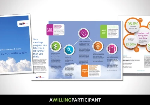 Informational/pre-meeting Brochure