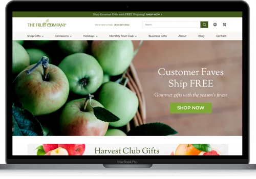 The Fruit Company Case Study