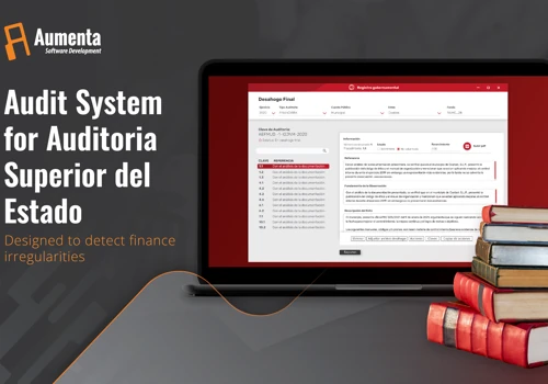 Audit System for Public Organization