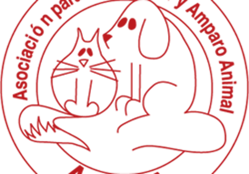 Diseño Web