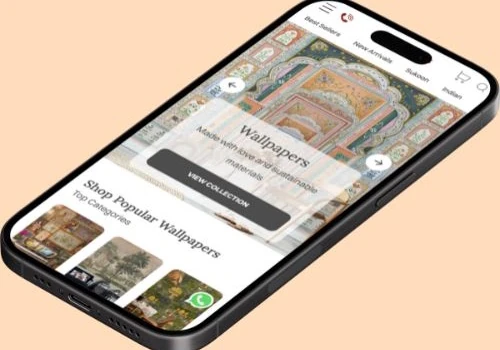 Shopify Development + UI UX Designing + Marketing