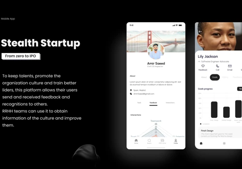 Stealth Startup