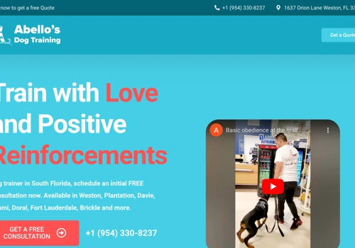 Unleashing Success: Dog Training Flourished