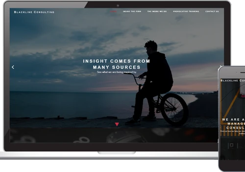 Website Design for Management Consultancies