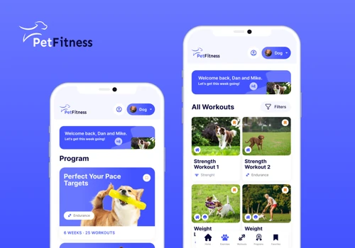 Visual Identity and Fitness App Design for Pets