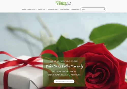 Petaljet full-cycle + AI SEO optimisation