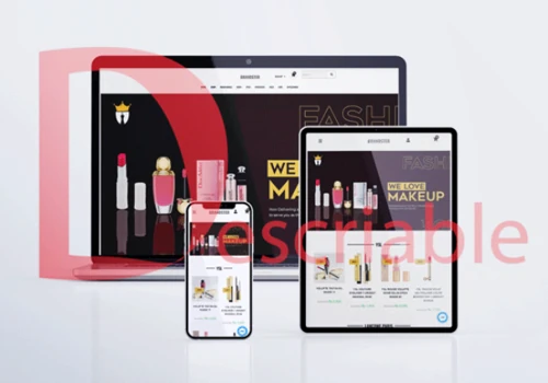 Brandster Website Design and Development