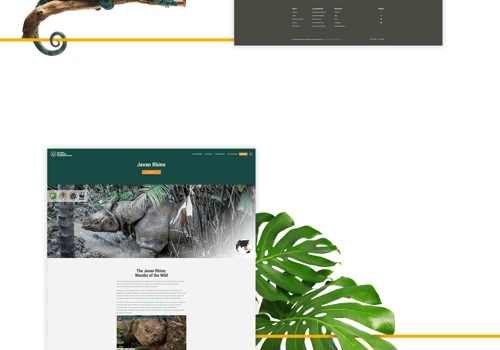 Global Wildlife Conservation Website Design