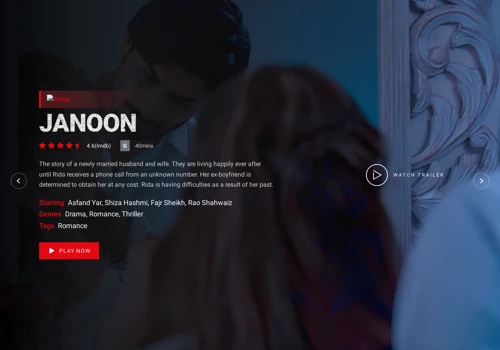 Website Development for OTT Platform