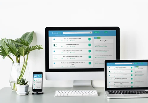 Reponsive web design
