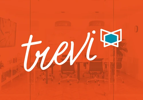 Branding for Start-Up trevi