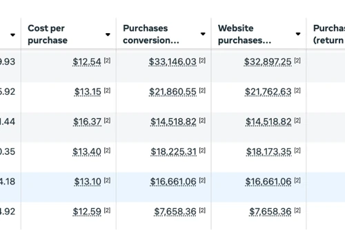 Meta Ads Campaign - Supplement Brand Scaling