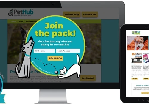 Email Solution for Large Pet Company