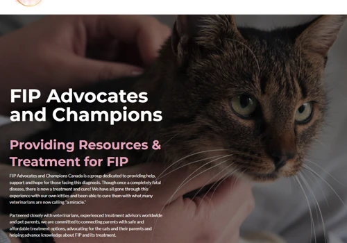 Donated Website Project For Charity