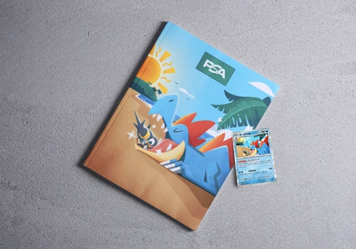 PSA Magazine Cover