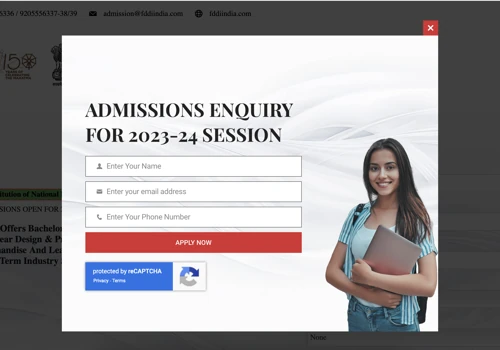 Digital Marketing For FDDI India