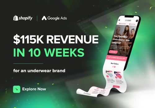 $115K Revenue in 10 Weeks for Dropshipping Store