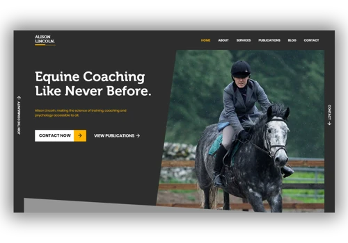 Alison Lincoln Website Design