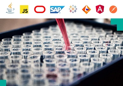 Dedicated teams support  for a BI project