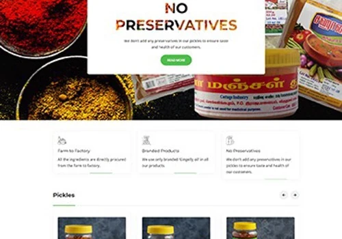 Website Designing
