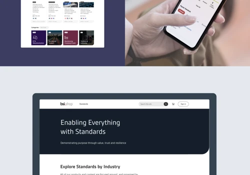 Modernizing the Value of British Standards