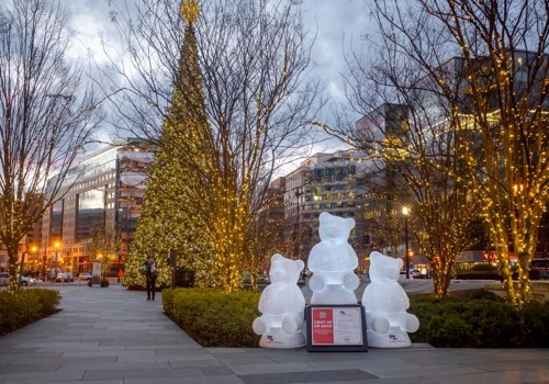 Children's National Hospital "Light Up Dr. Bear"