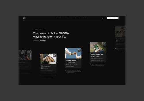 Juno web design and branding