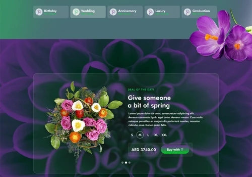 Web Design/ Development
