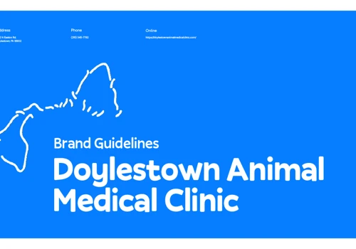 New Brand Guidelines for DAMC