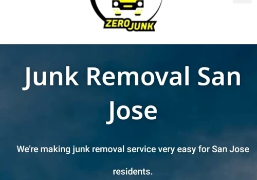 Zero Junk USA website design and logo design