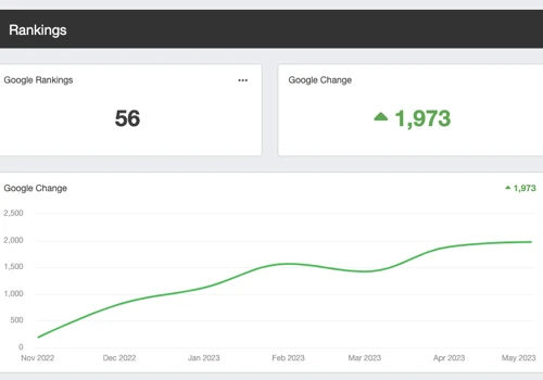 SEO & Google Ads Management for Law Firm