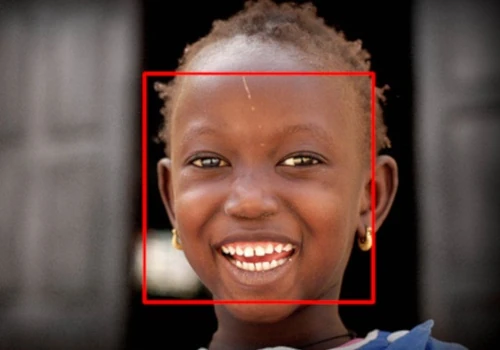 Face Detector
