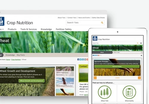 Hyper-localized Websites For More Direct Customer Relationships