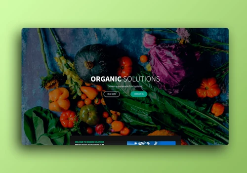 Created a Website for Organic Brand