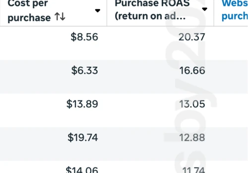 33.8× ROAS for a US Skincare eCom Brand