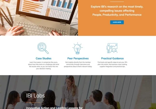 Custom WordPress Web Design - IBI