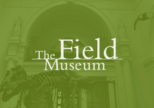 Improving UX for the Field Museum
