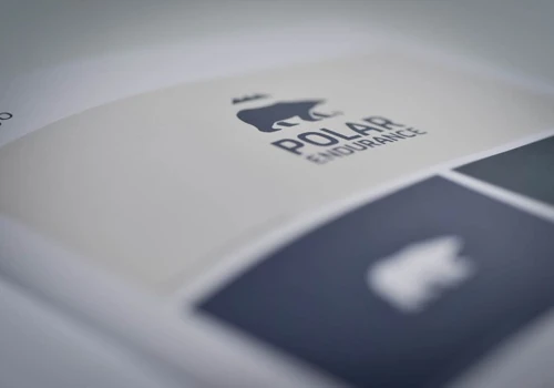 Polar Endurance brand and website design
