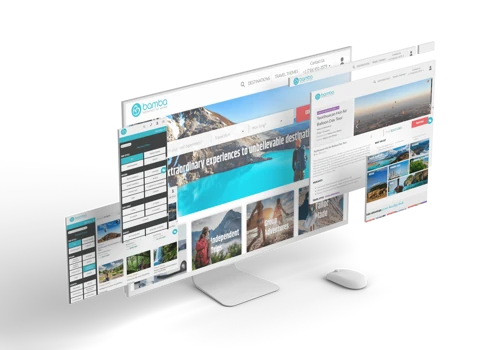 Custom Software E-Commerce