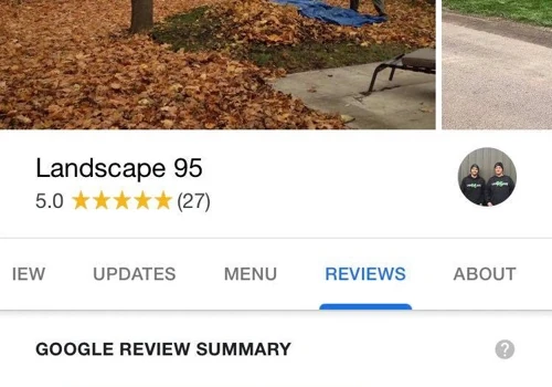Google 'My Business'