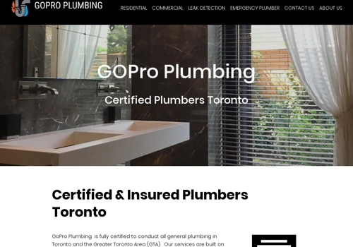 Web Develepment for Plumber
